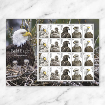 2026 Bald Eagle: Hatchling to Adult Stamps, Sheet of 20