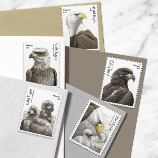 2026 Bald Eagle: Hatchling to Adult Stamps, Sheet of 20
