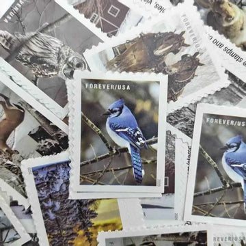 2020 Winter Scenes Forever Stamps